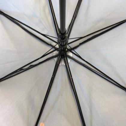 Executive Walker Eco Umbrella
