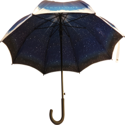 Executive Walker Double Canopy Umbrella