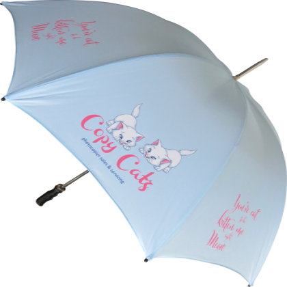 Bedford Medium Eco Umbrella