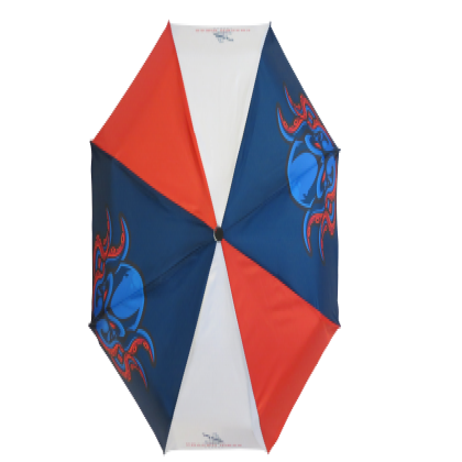 Executive Telescopic UK Eco Umbrella