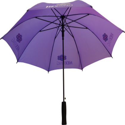 Budget Walker Umbrella