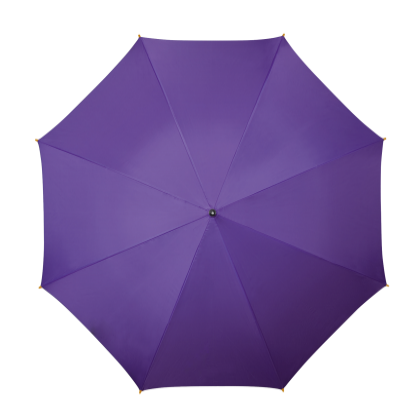 Classic WoodCrook Umbrella