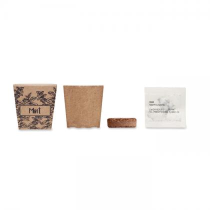 Mint Kit - Mint Seeds Growing Kit