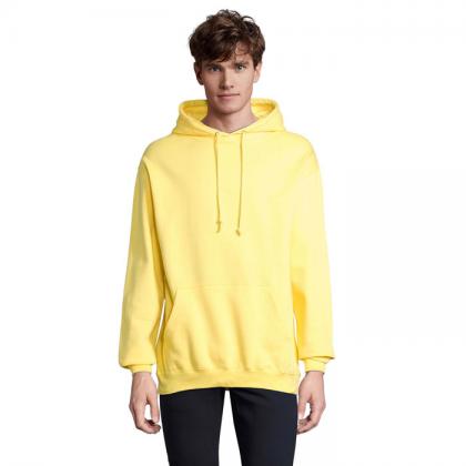 Condor Unisex Hooded Sweat