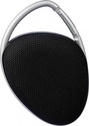 Outdoor speaker