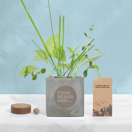 Grow Kit in Grey Concrete Pot