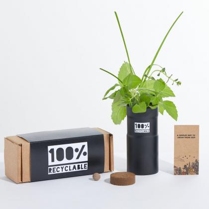 Desktop Garden Aluminium Silver Box of Three