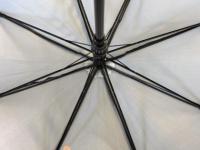 Executive Walker Eco Umbrella