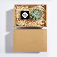 Candle and Plant Hamper in a Plain Box