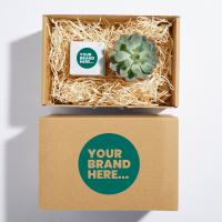 Candle and Plant Hamper in a   Box