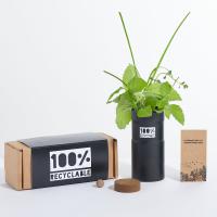 Desktop Garden Aluminium Silver Box of Three