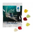 Fruit Gum STANDARD 20 g in a Compostable Bag