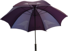 Bedford Black Eco Umbrella