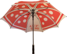 Fibrestorm Auto Eco Umbrella