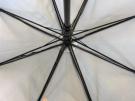 Executive Walker Eco Umbrella