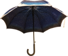 Executive Walker Double Canopy Umbrella