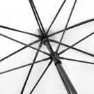 Impliva Falcone Transparent Umbrella