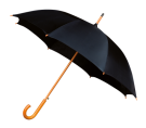 Classic WoodCrook Umbrella