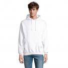 Condor Unisex Hooded Sweat