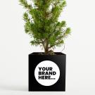 Christmas Tree in Black Aluminium Pot