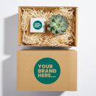 Candle and Plant Hamper in a   Box