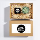 Candle and Plant Hamper in a Full Colour Label Box