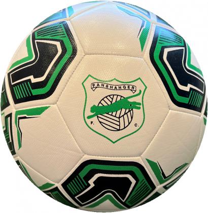 Size 5 Match Trainer Football