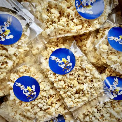 Popcorn Bags