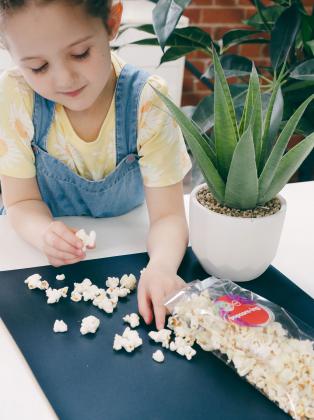 Popcorn Bags