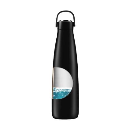 Cari 500ml insulated bottle