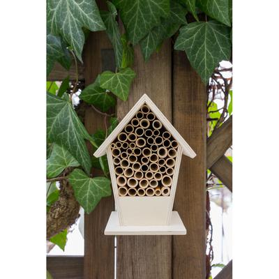 Insect house | Nuru
