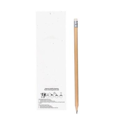 Pencil