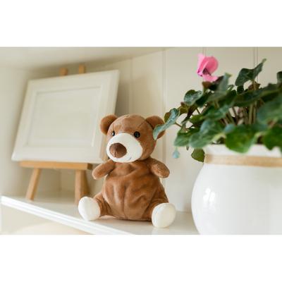 Plush teddy bear | Ragan