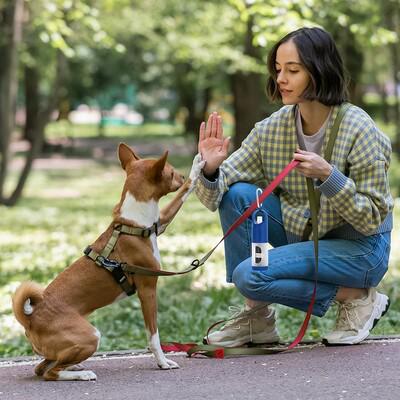 Waste bag dispenser for dog excrements, hand gel 30 ml
