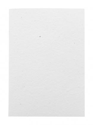 CreaNote A5 Seed custom seed paper notebook