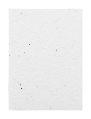 CreaNote A6 Seed custom seed paper notebook