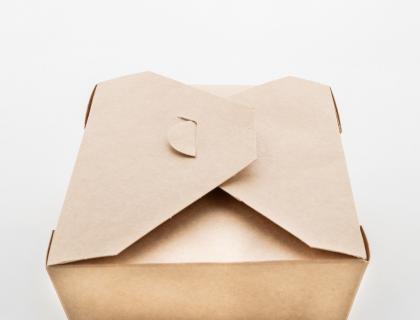 Delibox 1300 takeaway box