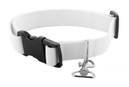 Ziggy custom dog collar