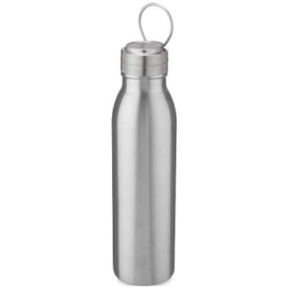 Harper 700 ml stainless steel water bottle with metal loop