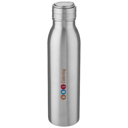 Harper 700 ml stainless steel water bottle with metal loop