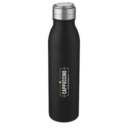 Harper 700 ml stainless steel water bottle with metal loop