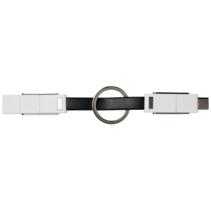 One 4-in-1 cable