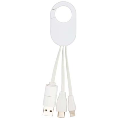 Troop 4-in-1 recycled plastic charging cable