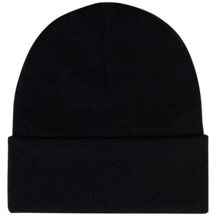 Herschel Elmer beanie