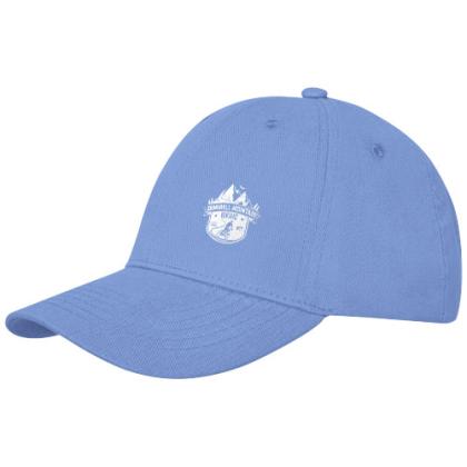 Davis 6 panel cap