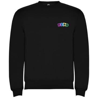 Clasica kids crewneck sweater