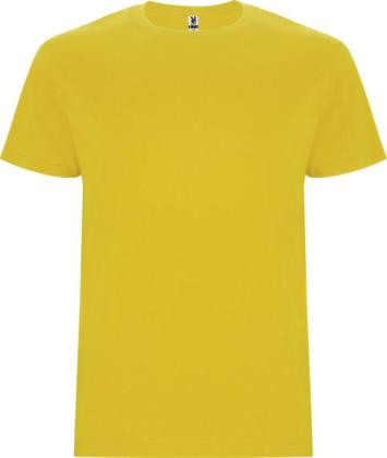 Stafford short sleeve kids t-shirt