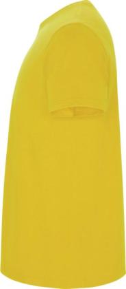 Stafford short sleeve kids t-shirt