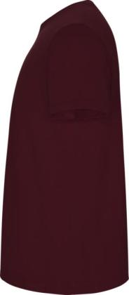 Stafford short sleeve kids t-shirt