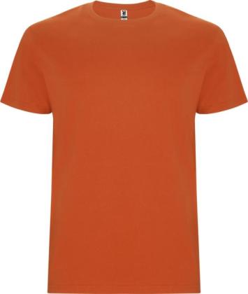 Stafford short sleeve kids t-shirt